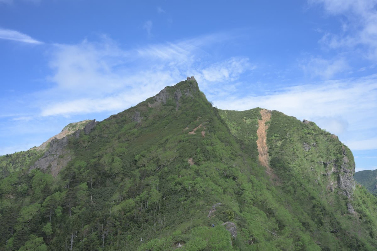 Site 48 ore